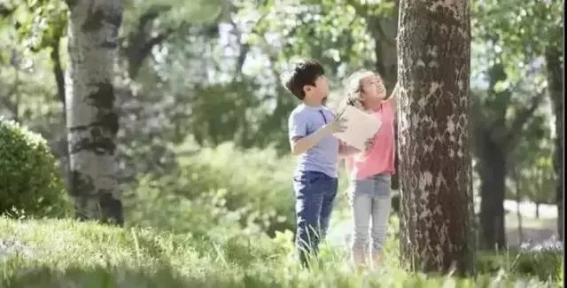 (十几岁的秘密)10岁小孩的秘密基地：探寻隐藏在童年岁月里的神秘乐园
