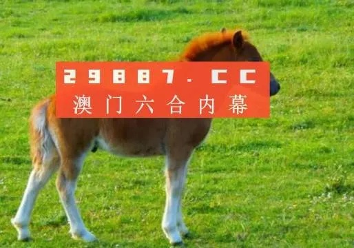 澳门一肖一码一必中一肖....|专业分析解释落实_收藏集.2.14